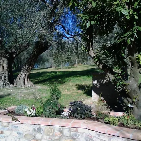Il Picchio Ravigliano