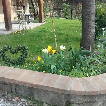 Il Picchio