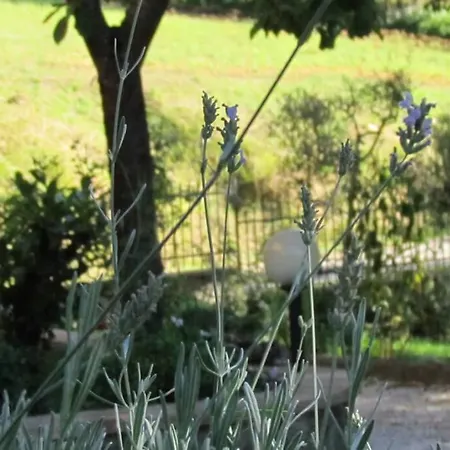 Il Picchio Prázdninový dům Ravigliano