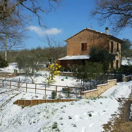 Il Picchio