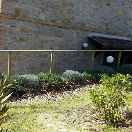 Il Picchio