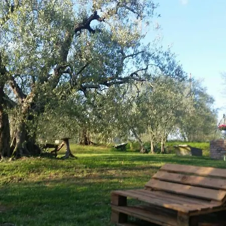 Vakantiehuis Il Picchio