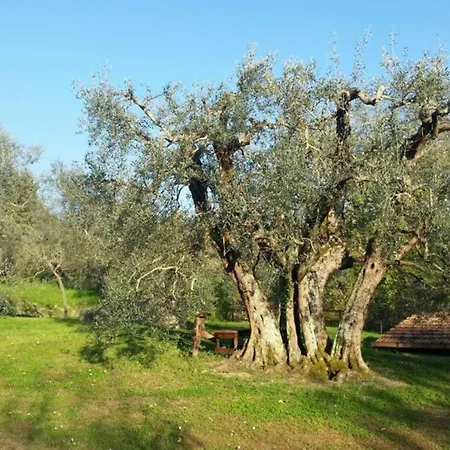 Il Picchio Ravigliano