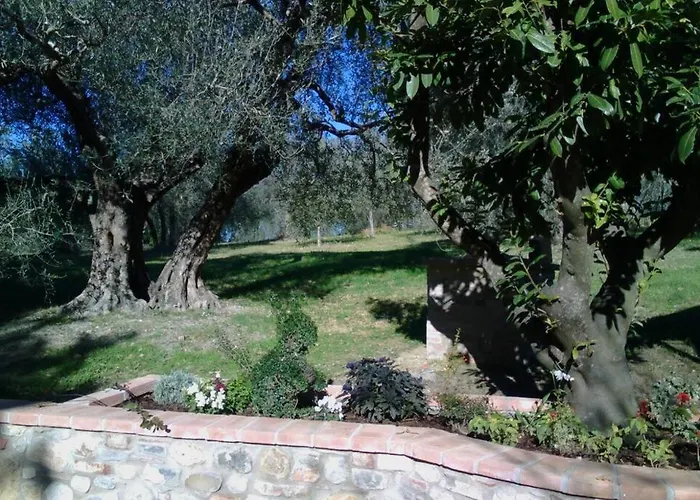 Il Picchio Ravigliano