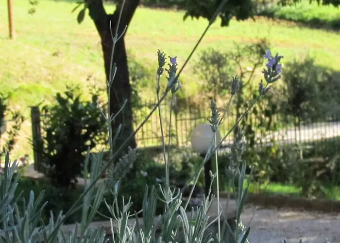 Il Picchio Holiday home Ravigliano