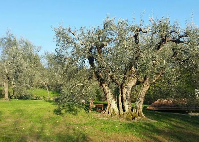 Il Picchio Ravigliano