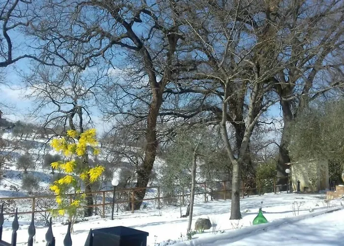 Il Picchio Holiday home *