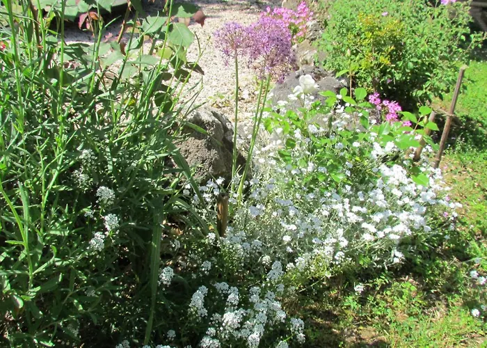 Il Picchio Holiday home